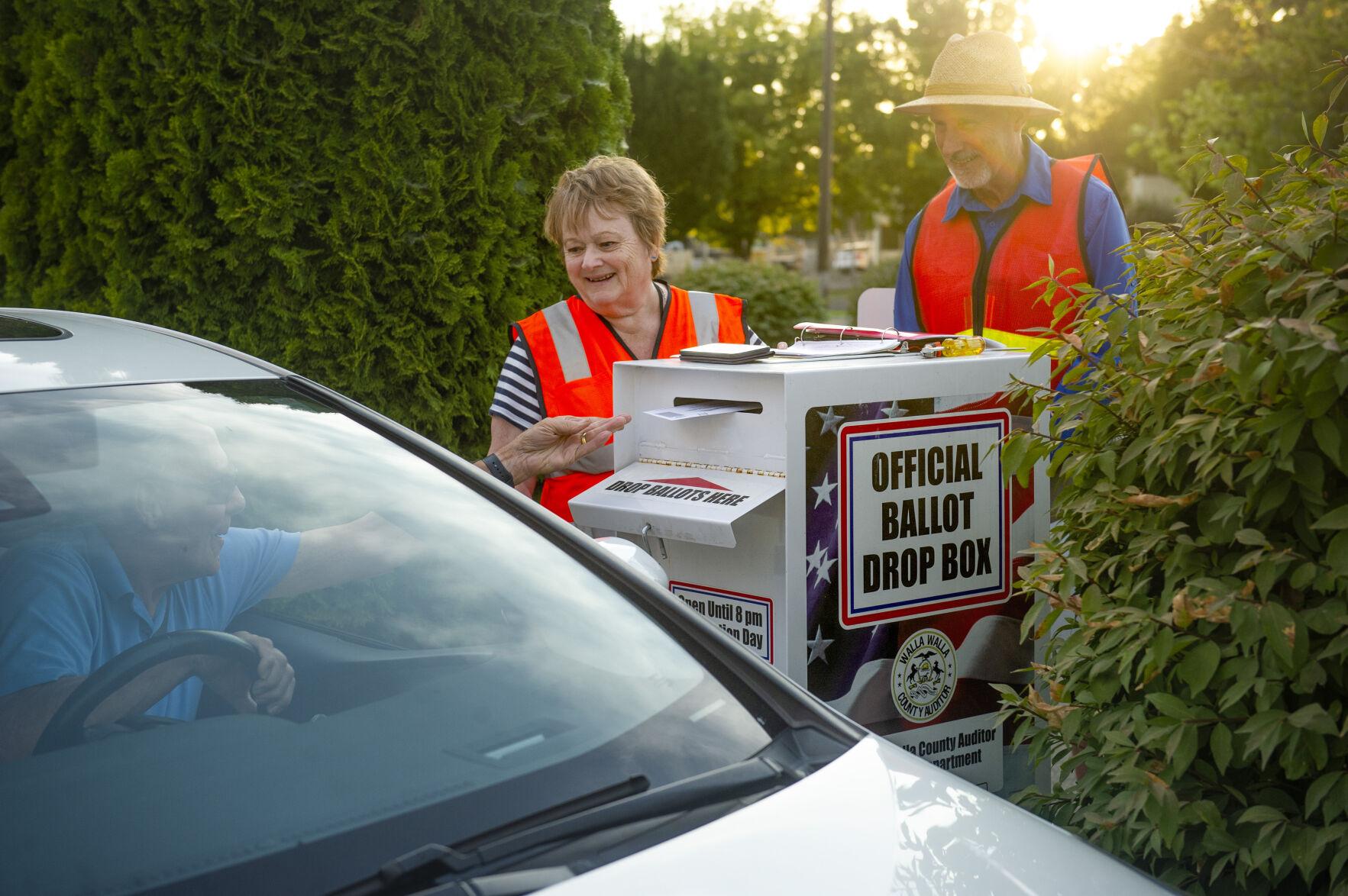 Walla Walla, Columbia county ballots include nonpartisan races, pool