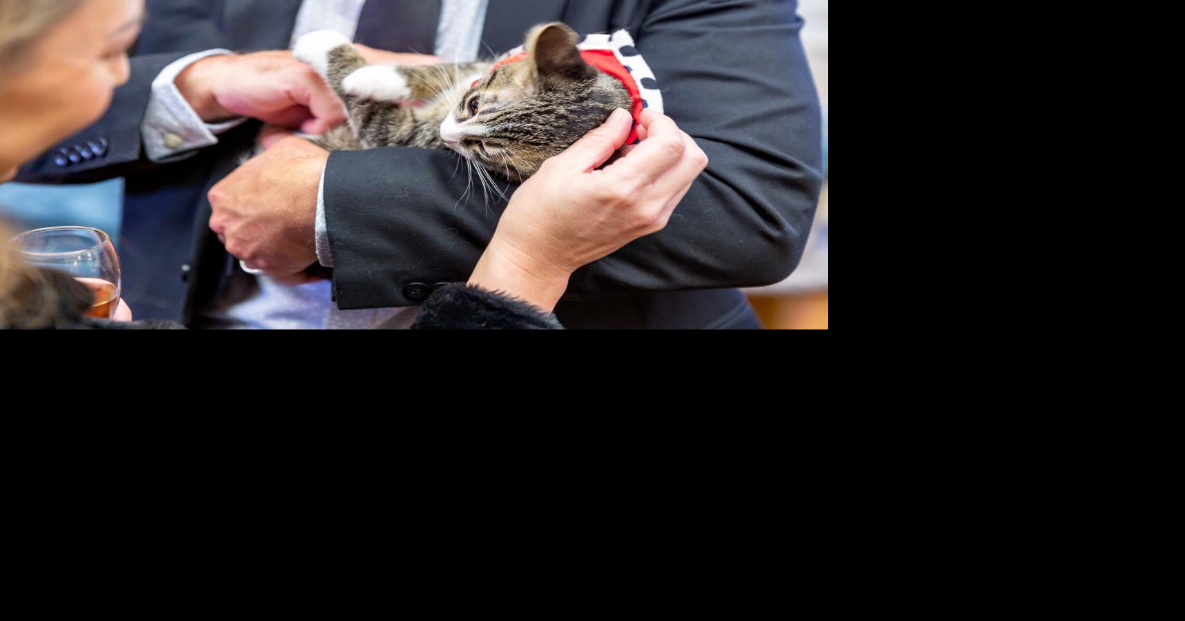 Business notes: Blue Mountain Humane Society hosts annual Fall Fur Ball fundraiser