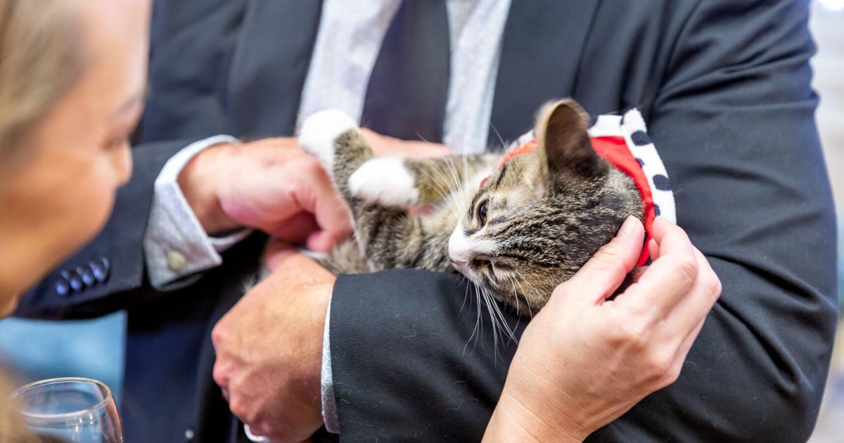 Business notes: Blue Mountain Humane Society hosts annual Fall Fur Ball fundraiser
