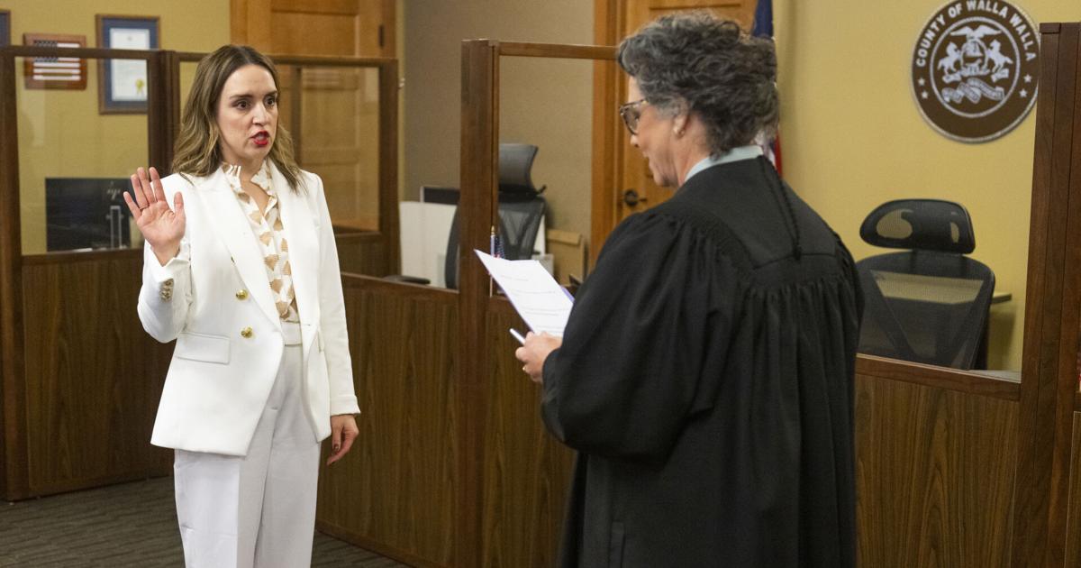 Rep. Skyler Rude proposes solution to address vacancies by nonpartisan officeholders