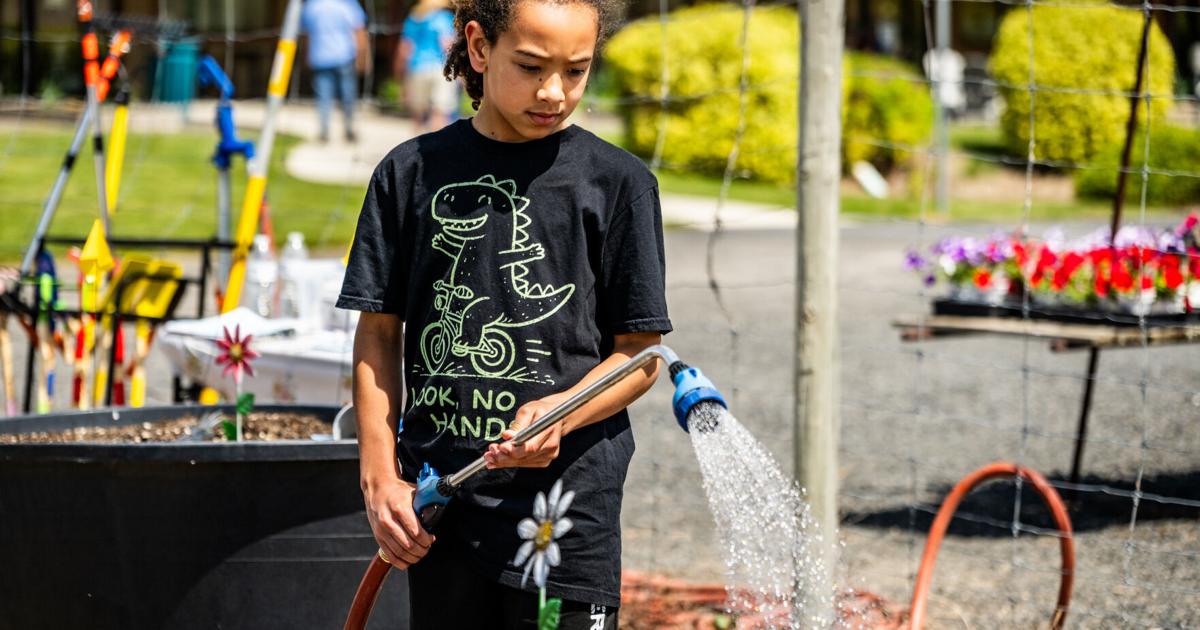 'It takes a village in these little towns': Dayton residents rally to create butterfly station
