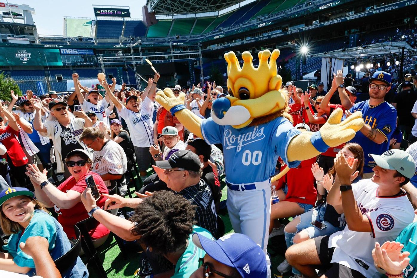 Rays mascot nominated for 'Most Awesome' honor