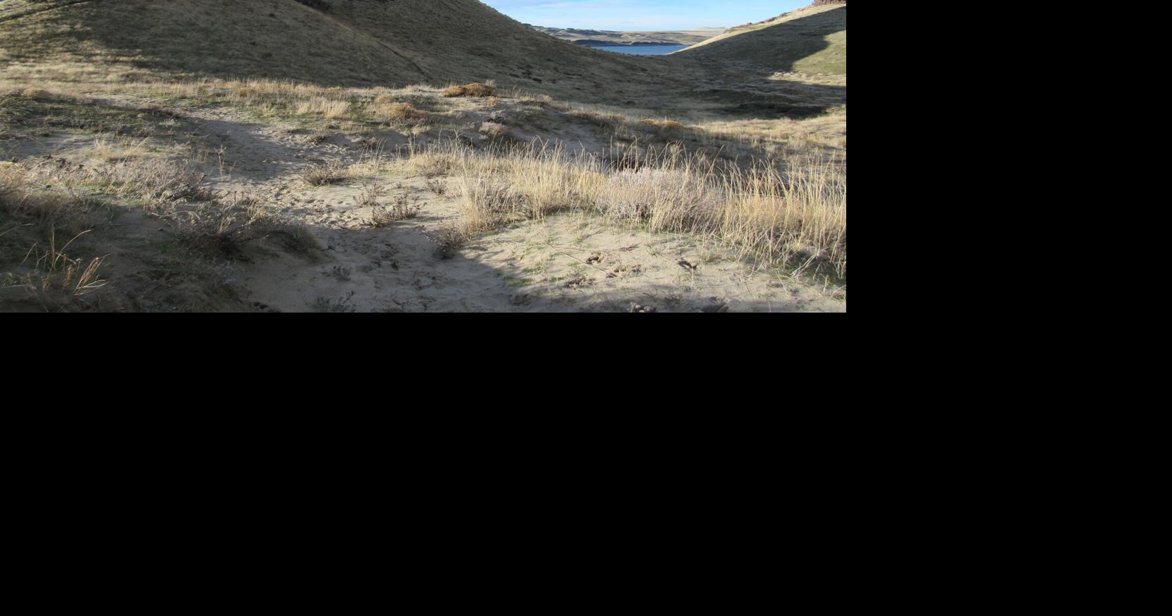 Day Tripper: Geologic wonderland awaits at Wallula Gap