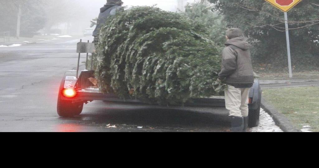 Scouts plan Walla Walla Christmas tree pickup in midJanuary Local