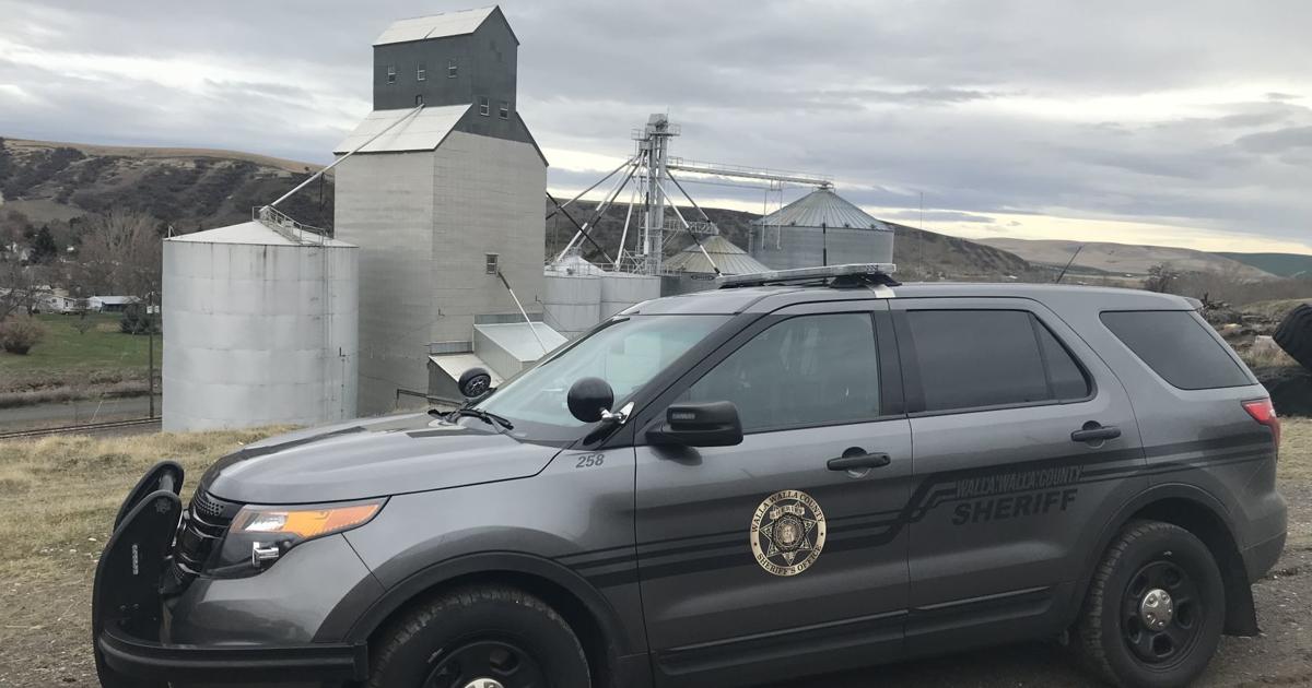 Driver, 41, dies in single-vehicle crash in Walla Walla County | Local