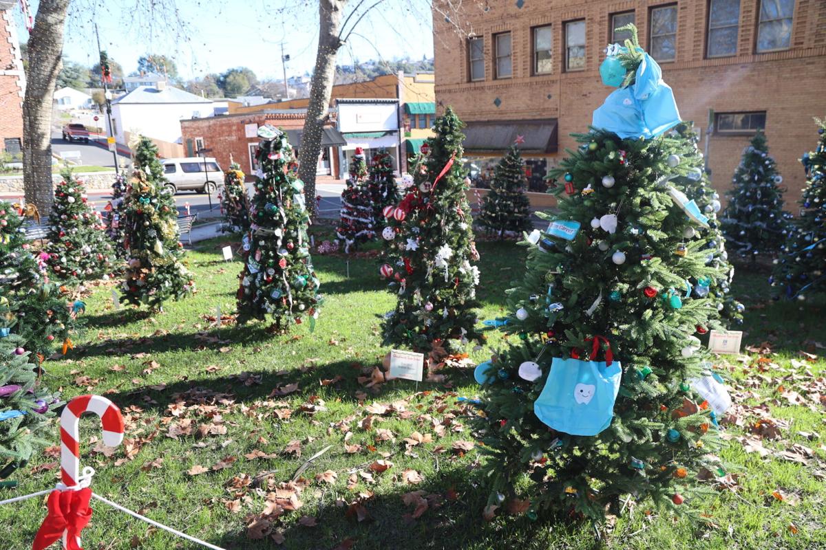 Tuolumne County, Sonora offer free Christmas tree recycling for ...