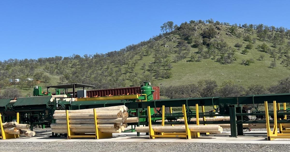 California Timber The new timber economy: Shift toward sustainability creates new career ...