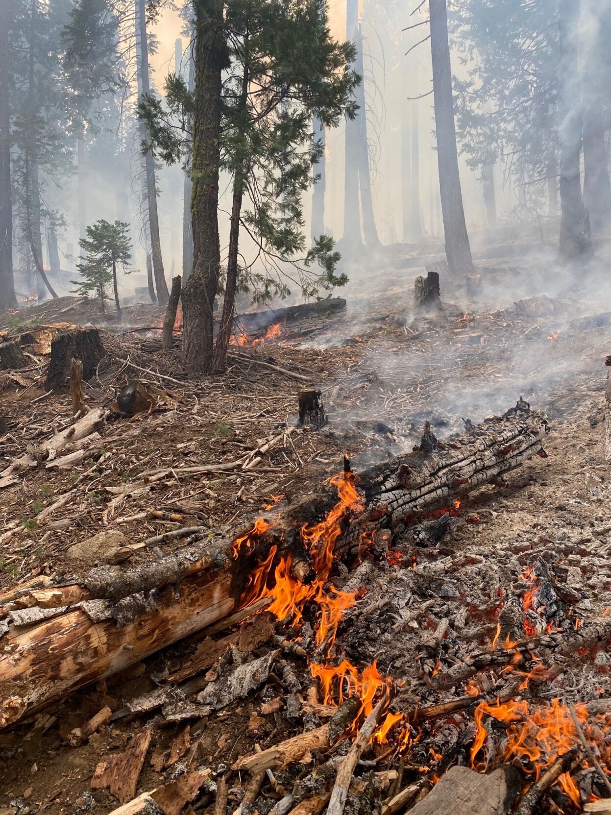 Quarry Fire, being managed to burn fuels, is now more than 5,550 acres