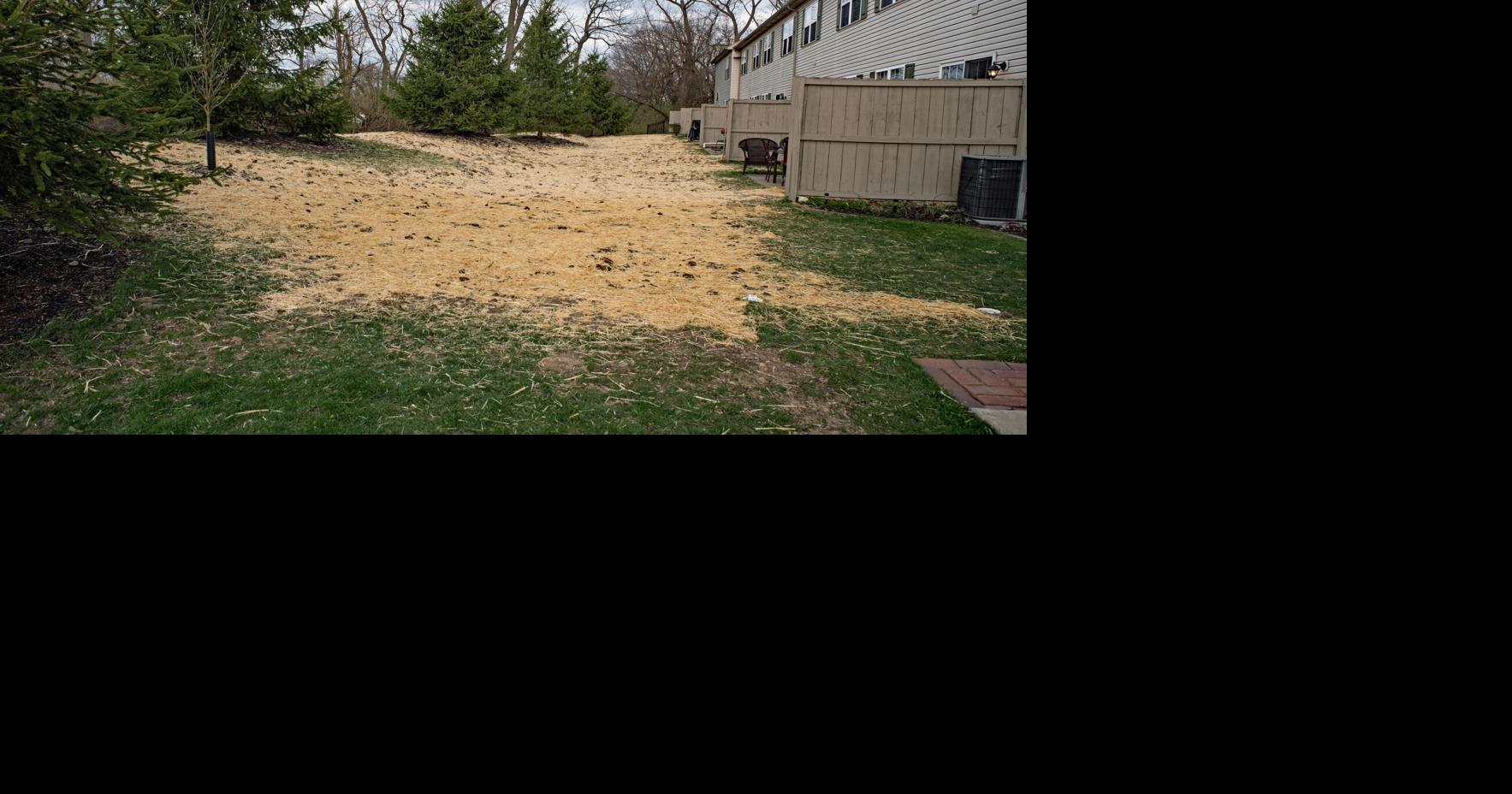 How much does landscaping cost? Lifestyle