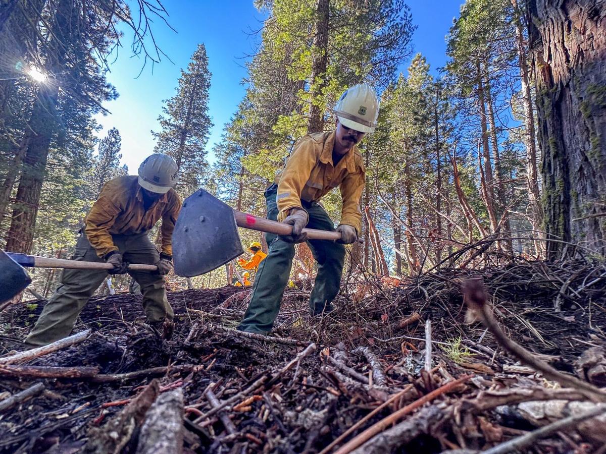 3d 3d shota femdom Pile burning continues in parts of Stanislaus National Forest | News |  uniondemocrat.com