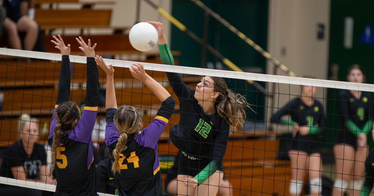 Wildcats sweep Bullfrogs in first clash of MLL volleyball heavyweights