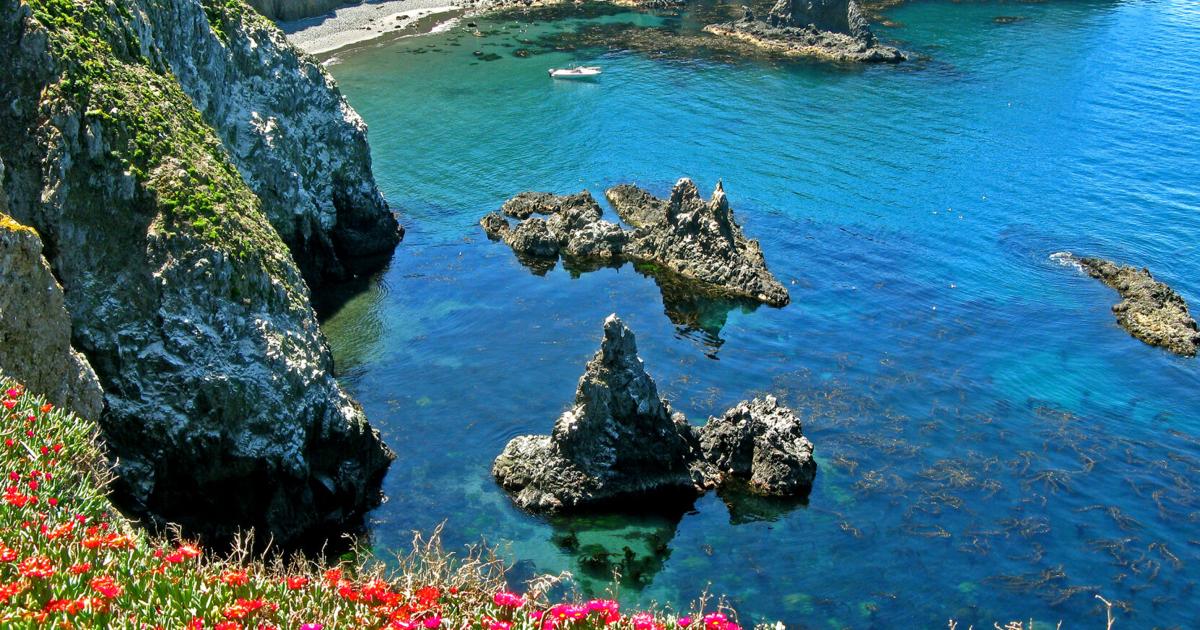 Kepulauan Channel: Lihat Galapagos versi California