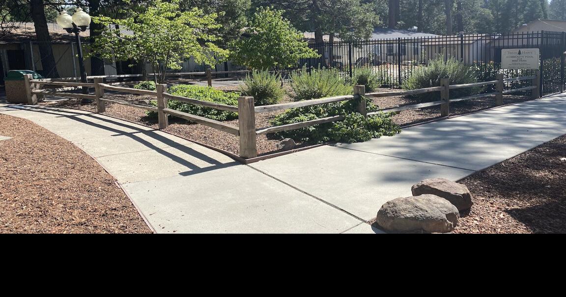 Designs sought for Women Veterans' Memorial in Twain Harte News