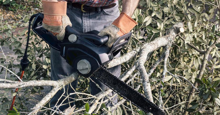 Does Homeowners Insurance Cover Tree Removal Lifestyle does-homeowners-insurance-cover-tree-removal-lifestyle