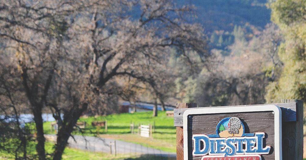 Nationwide avian flu outbreak hits Tuolumne County turkey producer - Union Democrat
