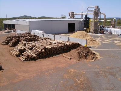 American Wood Fibers