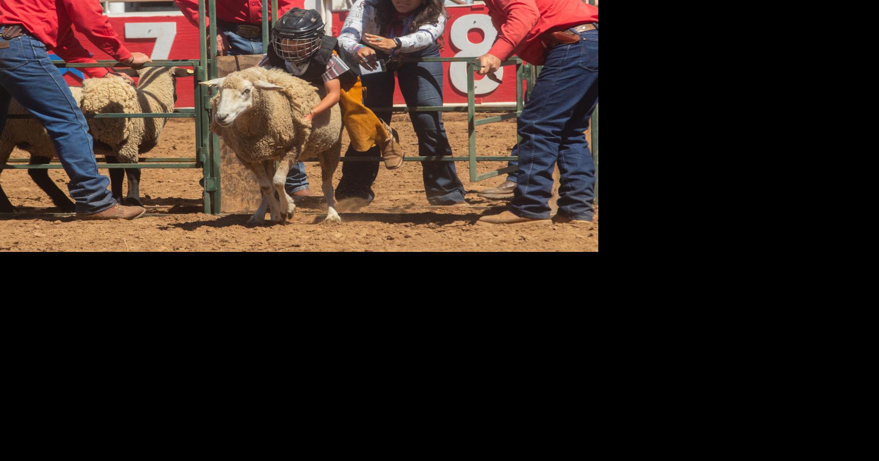 Photo gallery: 67th Mother Lode Roundup Rodeo Day 1 (May 9, 2026 ...