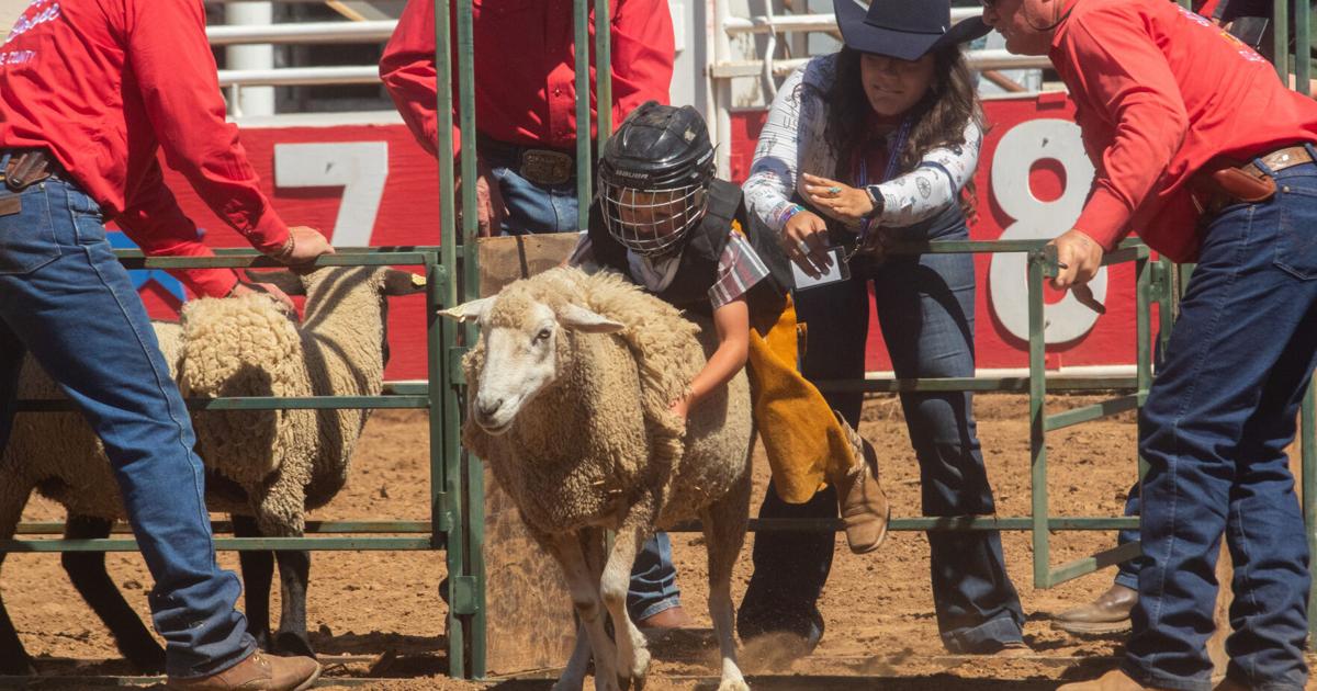 Lowood Rodeo 2025 Photo gallery: 67th Mother Lode Roundup Rodeo Day 1 (May 9, 2026 ...