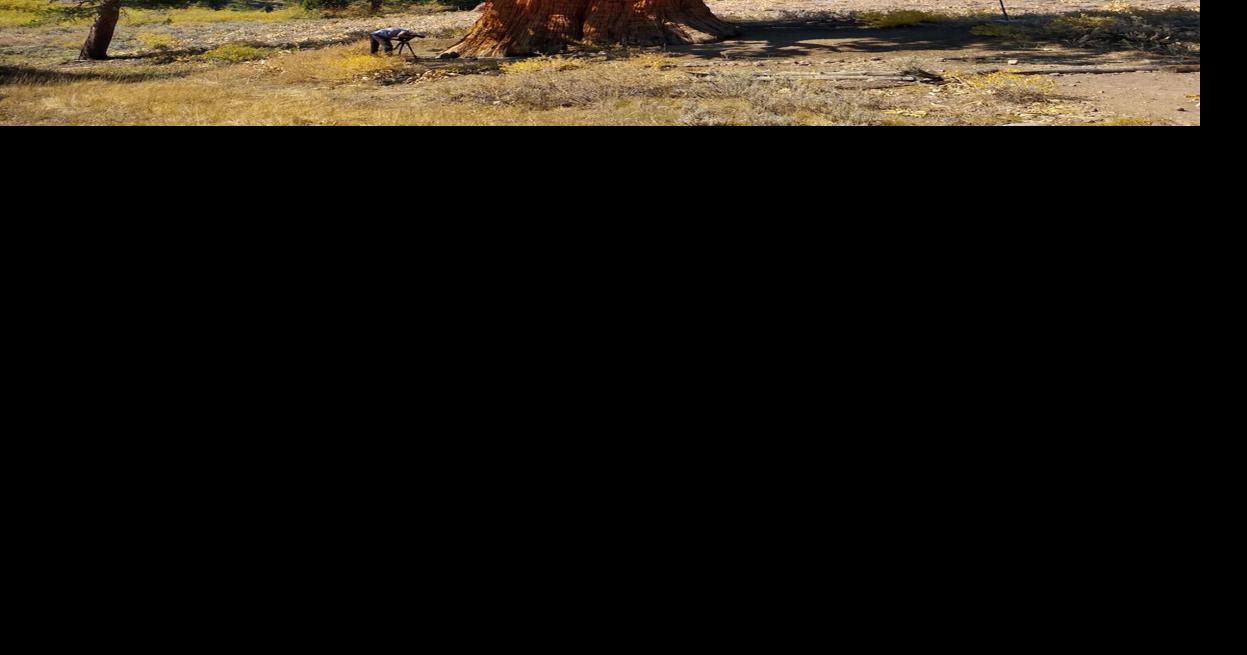 Tuolumne County's landmark Juniper now under the longterm care