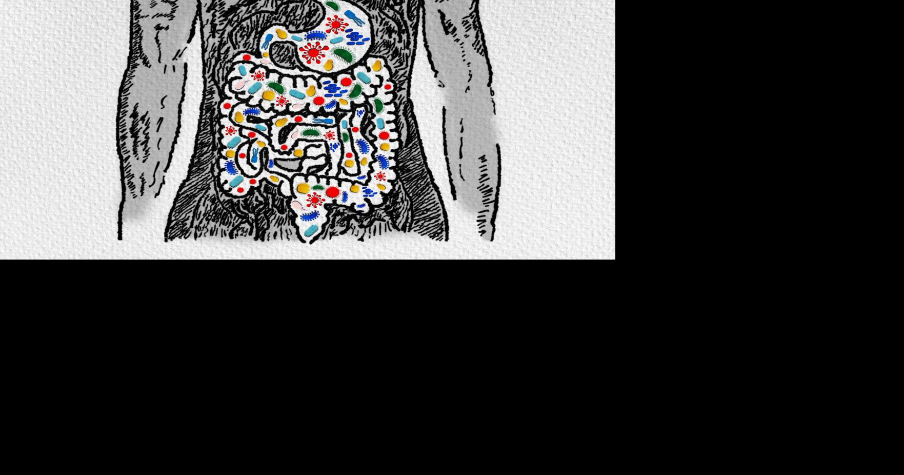 Antibiotics wreak havoc on the gut. Can we kill the bad bugs and spare the good ones?