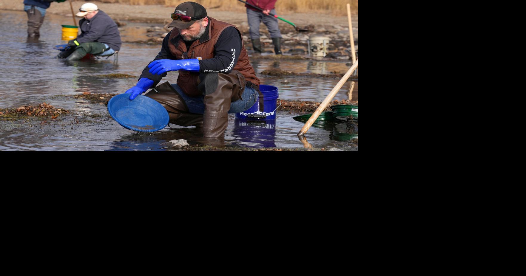 There’s gold in that there river, say Minnesota treasure hunters