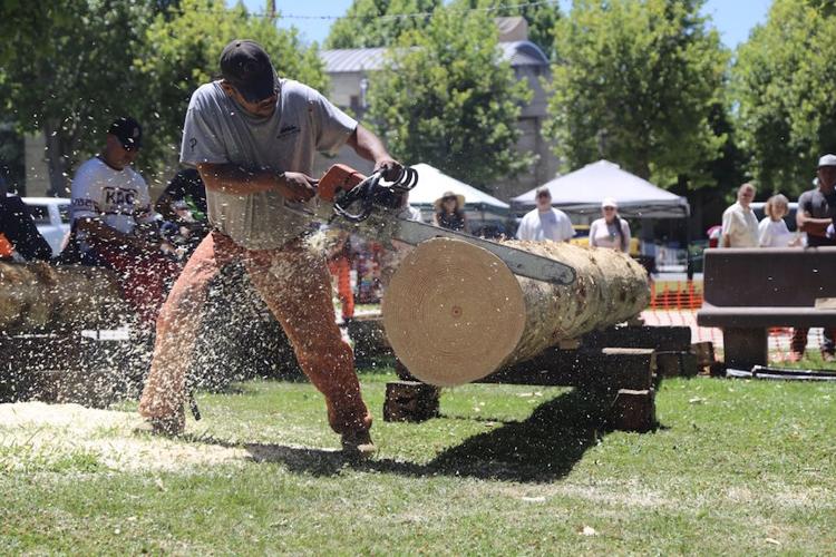 Photo gallery: Hundreds turn out for Lumber Protest | News ...