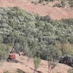 Dragoon Gulch project