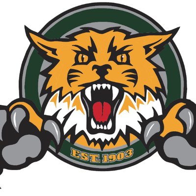 Sonora Wildcats logo