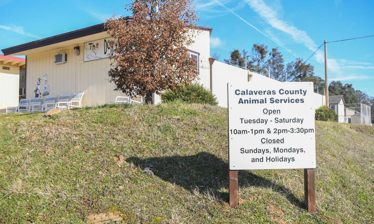Calaveras County Animal Services' nokill effort News
