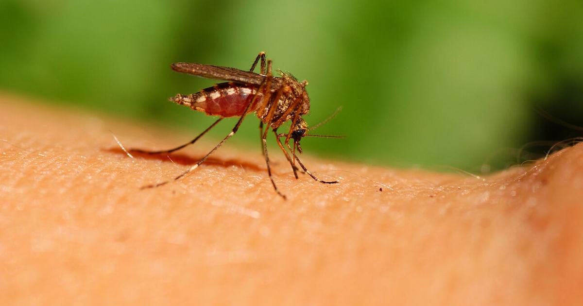 West Nile virus lands Tuolumne County resident in hospital