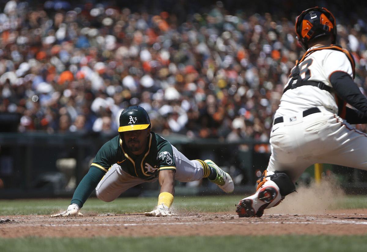 2022 MLB season preview: San Francisco Giants - VSiN Exclusive