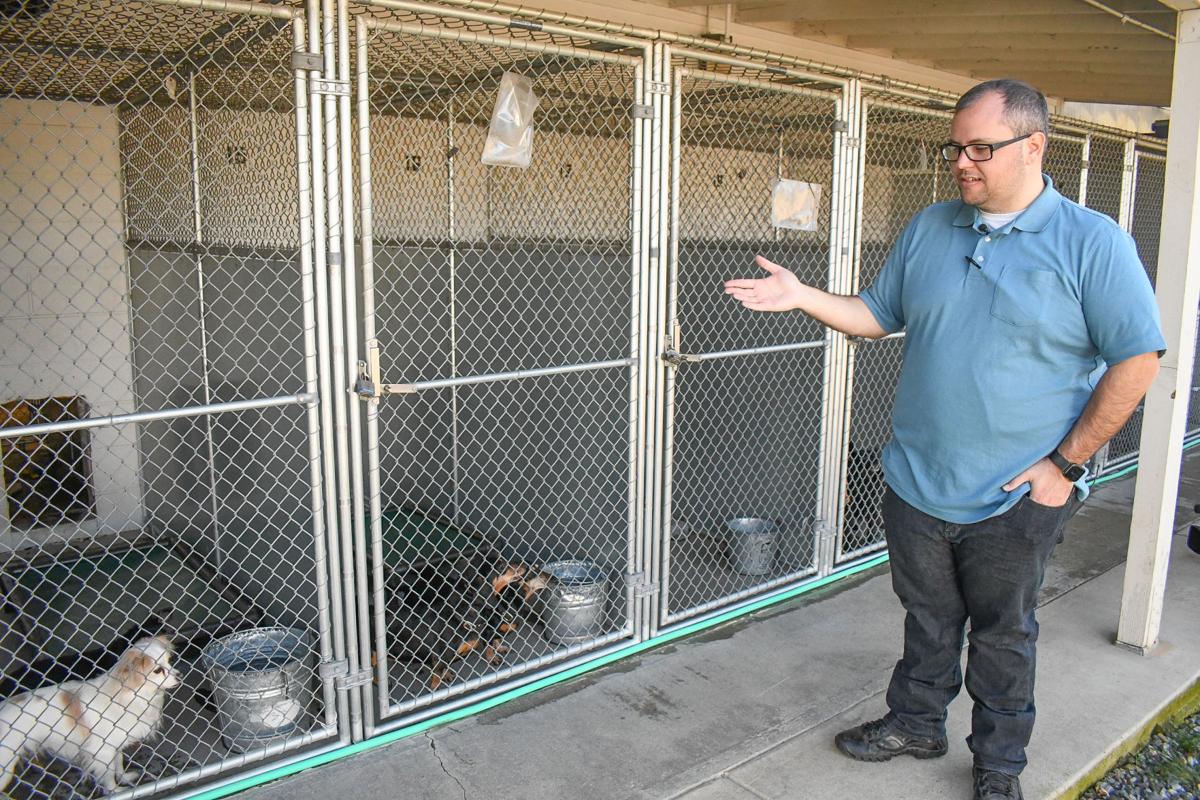 Animal Seizure In Copperopolis News Uniondemocrat Com