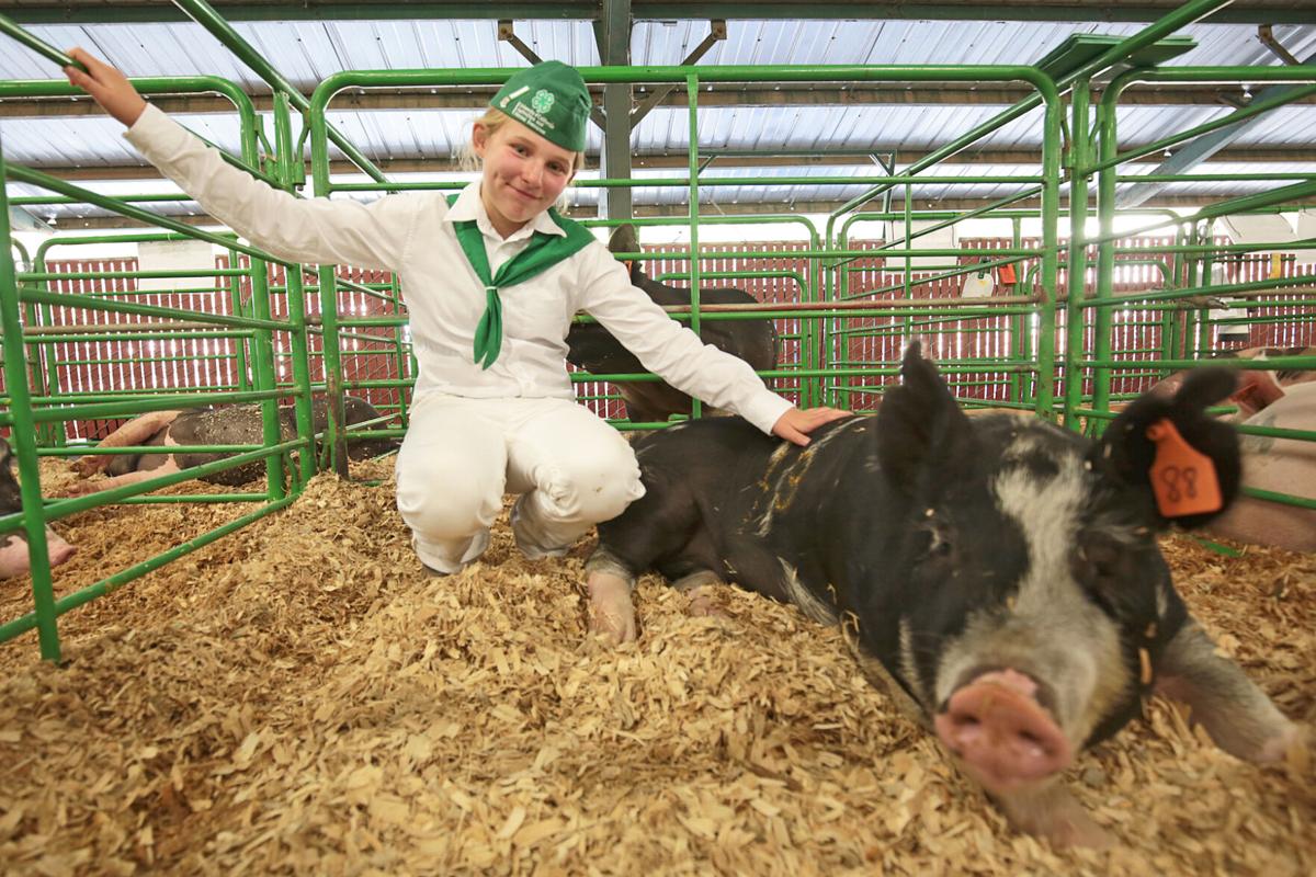 Mother Lode Fair 2022