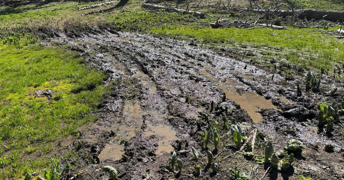 Meadow damage prompts Forest Service to reclose Herring Creek Road section