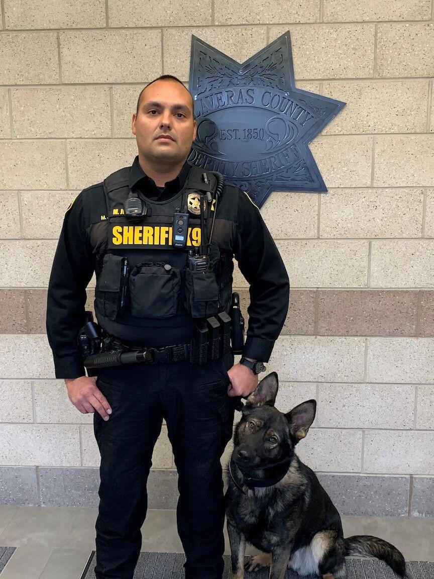 Calaveras County Sheriff's Office adds new K-9 to patrol staff | News ...
