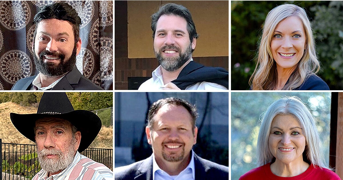 Crowded field battles for the District 2 supervisor seat