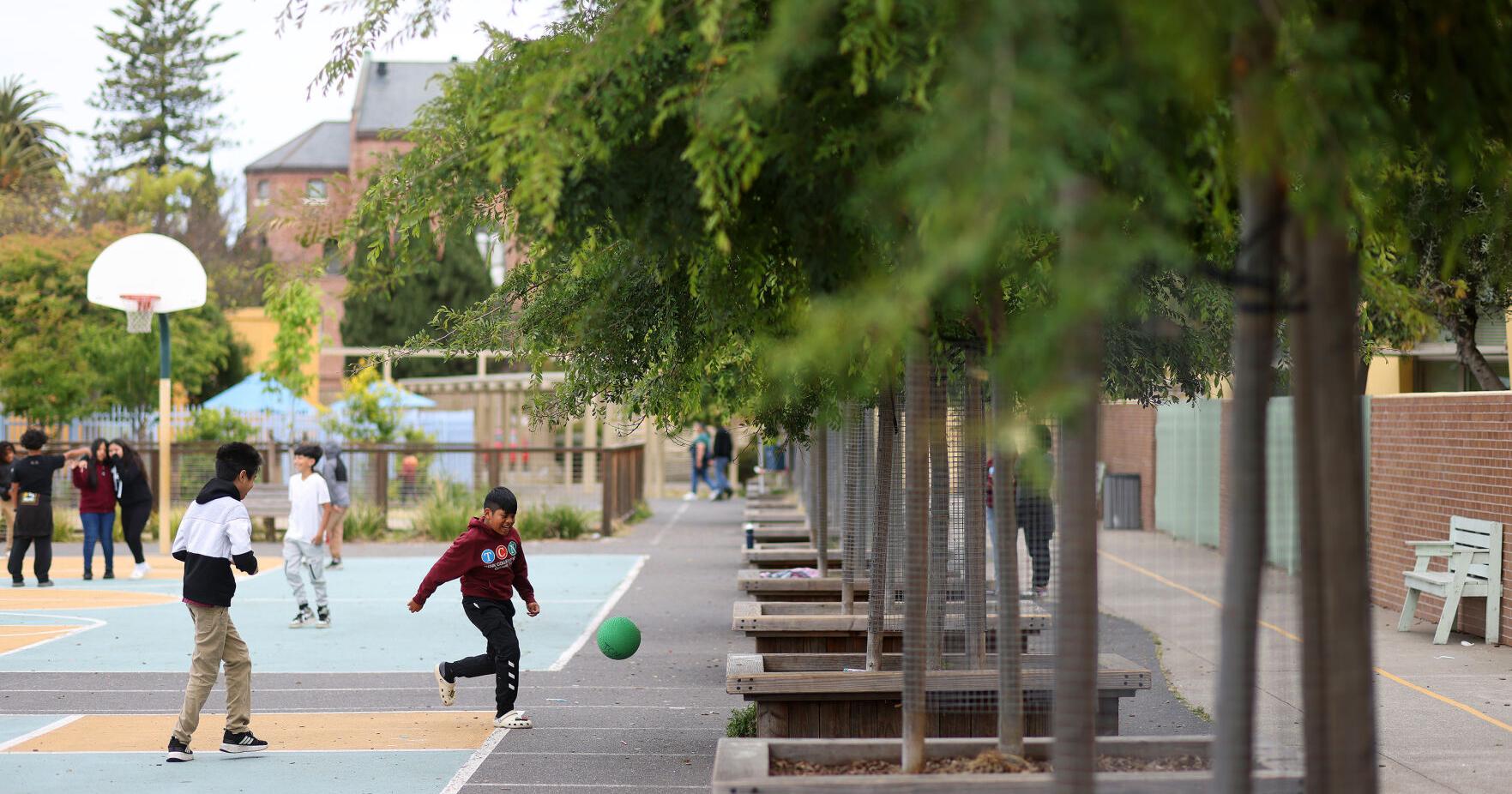Trees, not asphalt: The $1 billion effort to build 'cooler' California school playgrounds | Lifestyle - Vimarsana News