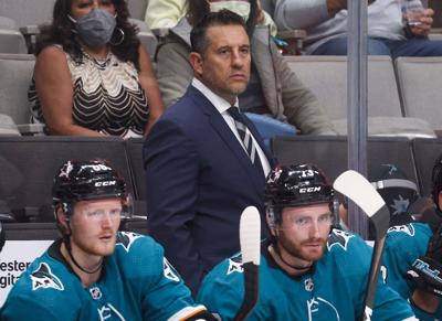 Zeitgeist: Sharks see Ice Girls as final piece of Stanley Cup puzzle -  Lighthouse Hockey