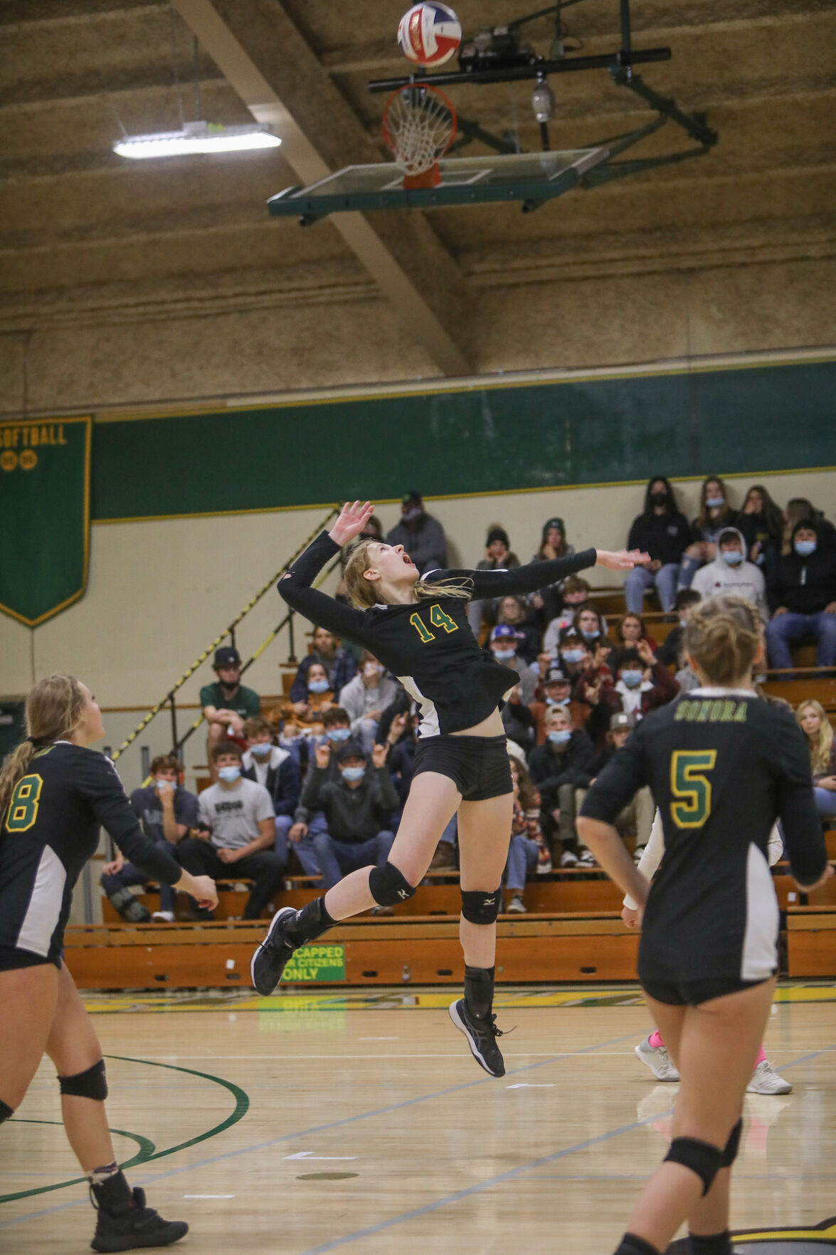 Wildcat Varsity Volleyball Girls Host Quarterfinals Thursday Night After Strong First Round Playoff Win Sports Uniondemocrat Com