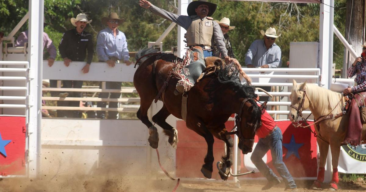Lowood Rodeo 2025 Photo gallery: 66th Mother Lode Roundup Rodeo (May 10-11, 2025) | Photo ...
