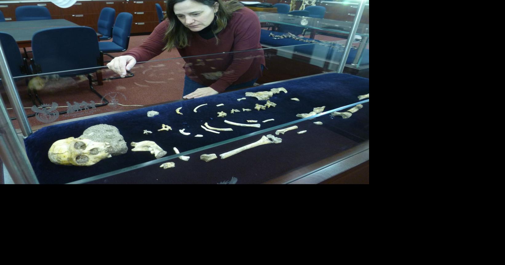 Sonora anthropologist to share human origins discoveries from South Africa