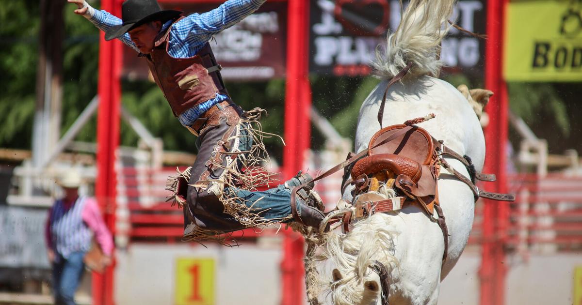 Lowood Rodeo 2025 Site of 2025 Mother Lode Roundup Rodeo in limbo amid conflict | News ...