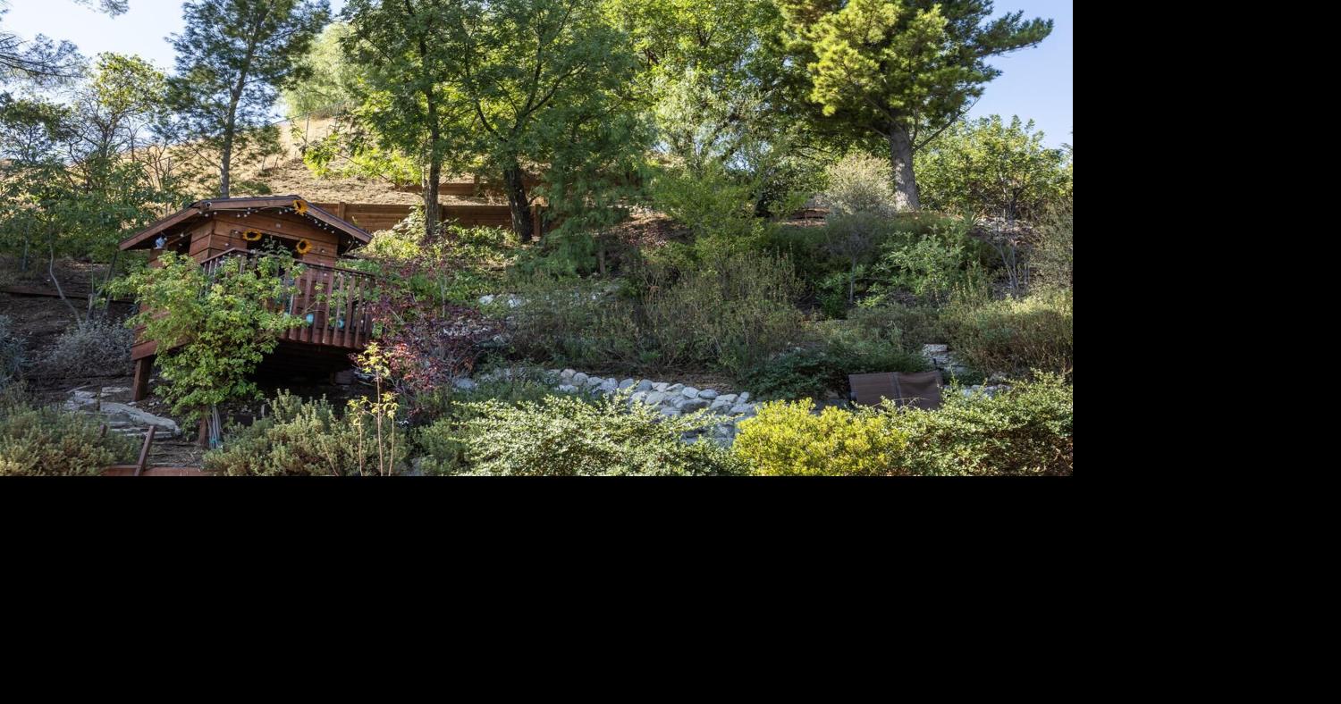 A wildfire charred their LA yard — but it let them create a lush native plant landscape
