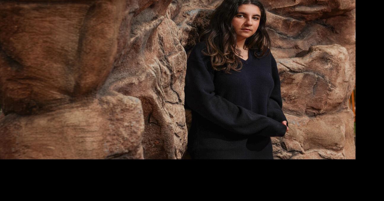 'Wait for a good time : - ) Don't fight!' A guide to help teens persuade parents to let them get vaccinated