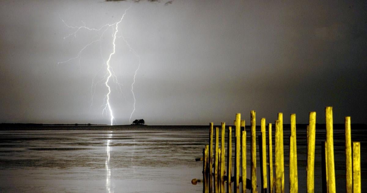 Do storms scare your dog? A new drug could help