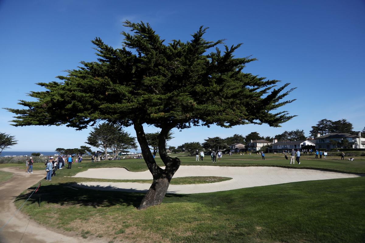 Long Beach State 49ers Team Golf Fairway Light 14-Way Top Golf Club Stand  Bag