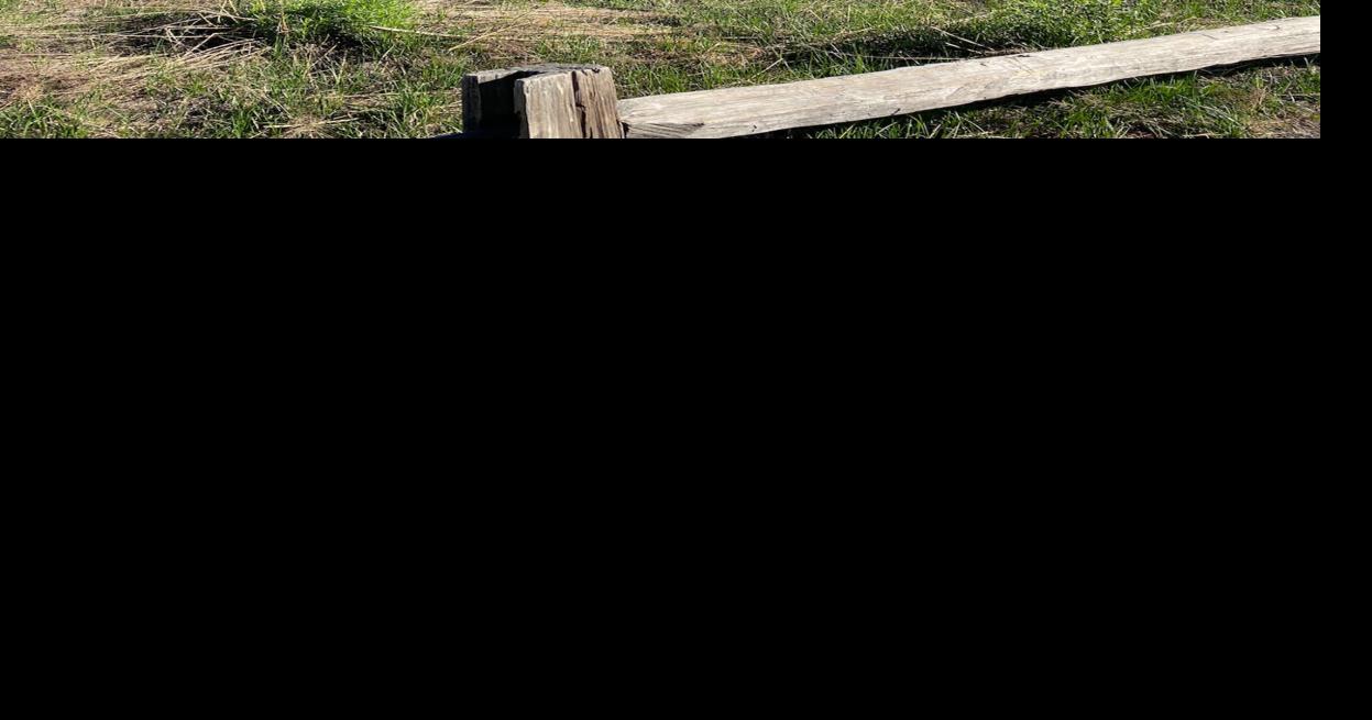 Flood forecasts prompt closures of some Yosemite Valley campgrounds