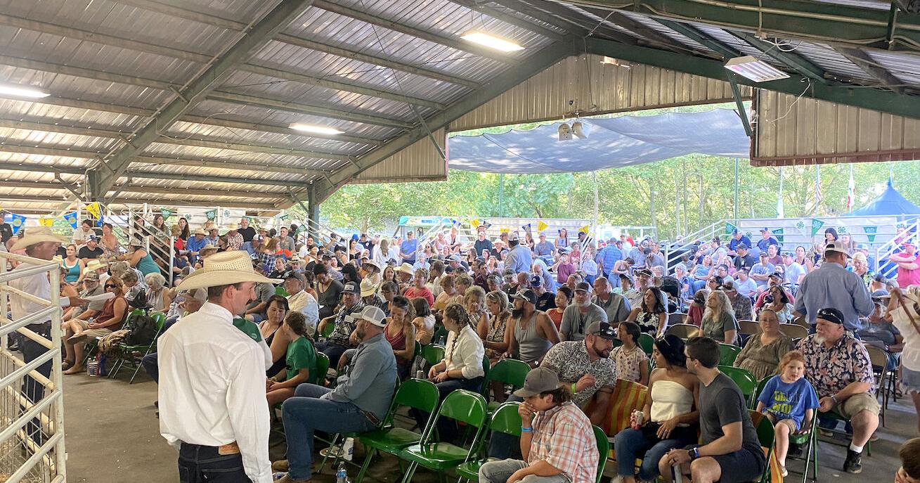Mother Lode Fair livestock auction brings in $810K despite heat - Vimarsana News