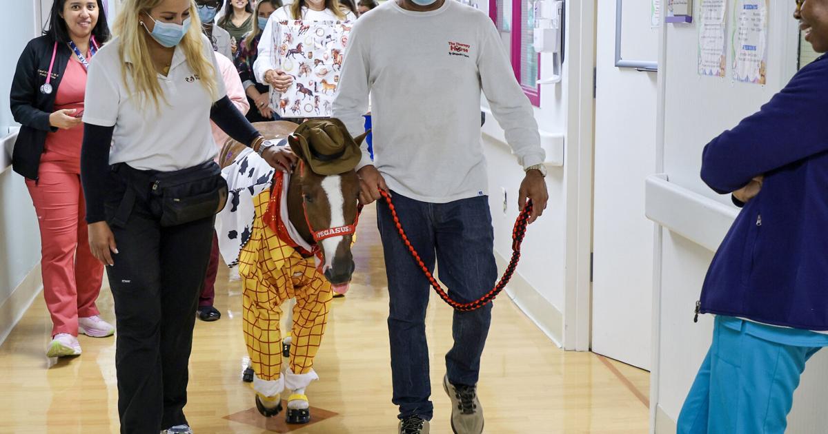 Horses making the rounds at Florida hospitals