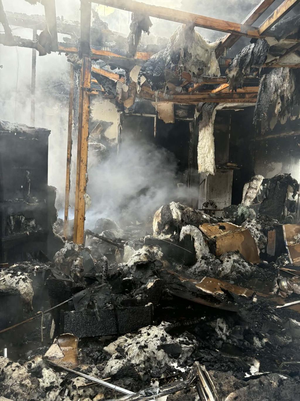 A house was on fire. Two strangers ran in to rescue a tiny dog. | Animals |  unionleader.com